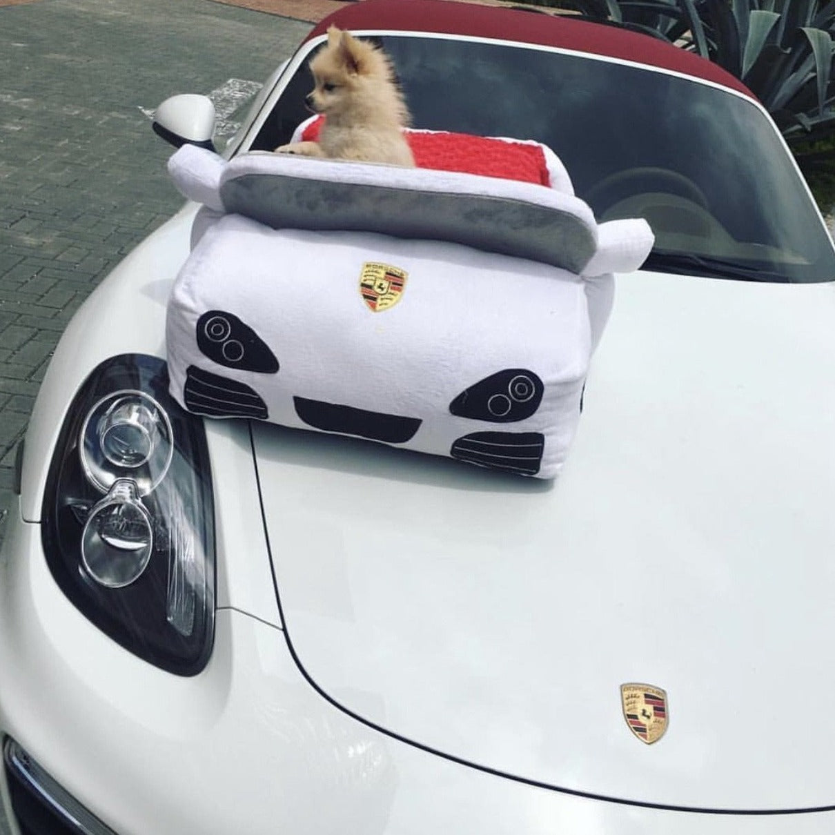 Custom Car Dog Bed