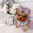 Load image into Gallery viewer, Duchess Bow