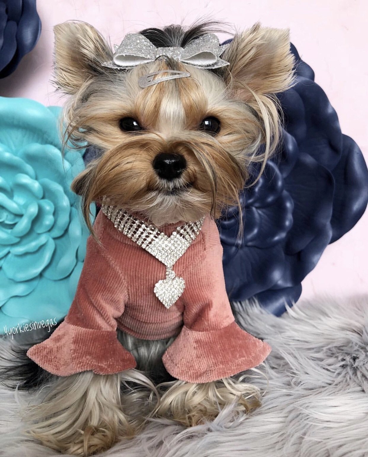 Ruby - Furbaby Couture