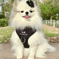 Load image into Gallery viewer, Pooch Harness