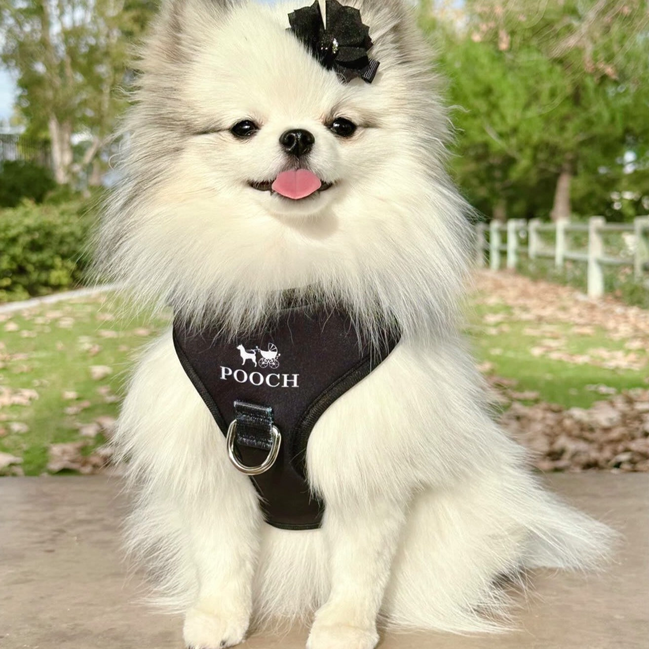 Pooch Harness