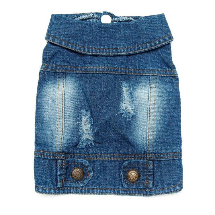 Pet wearing Classic Denim Jacket