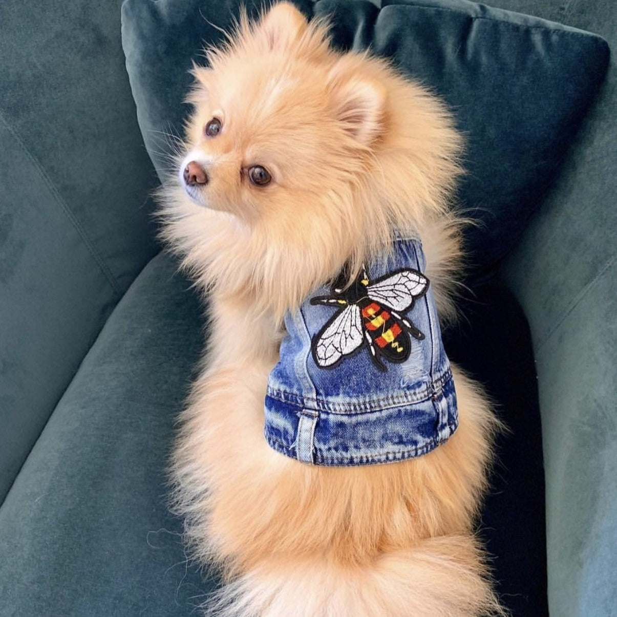 Nala Jacket