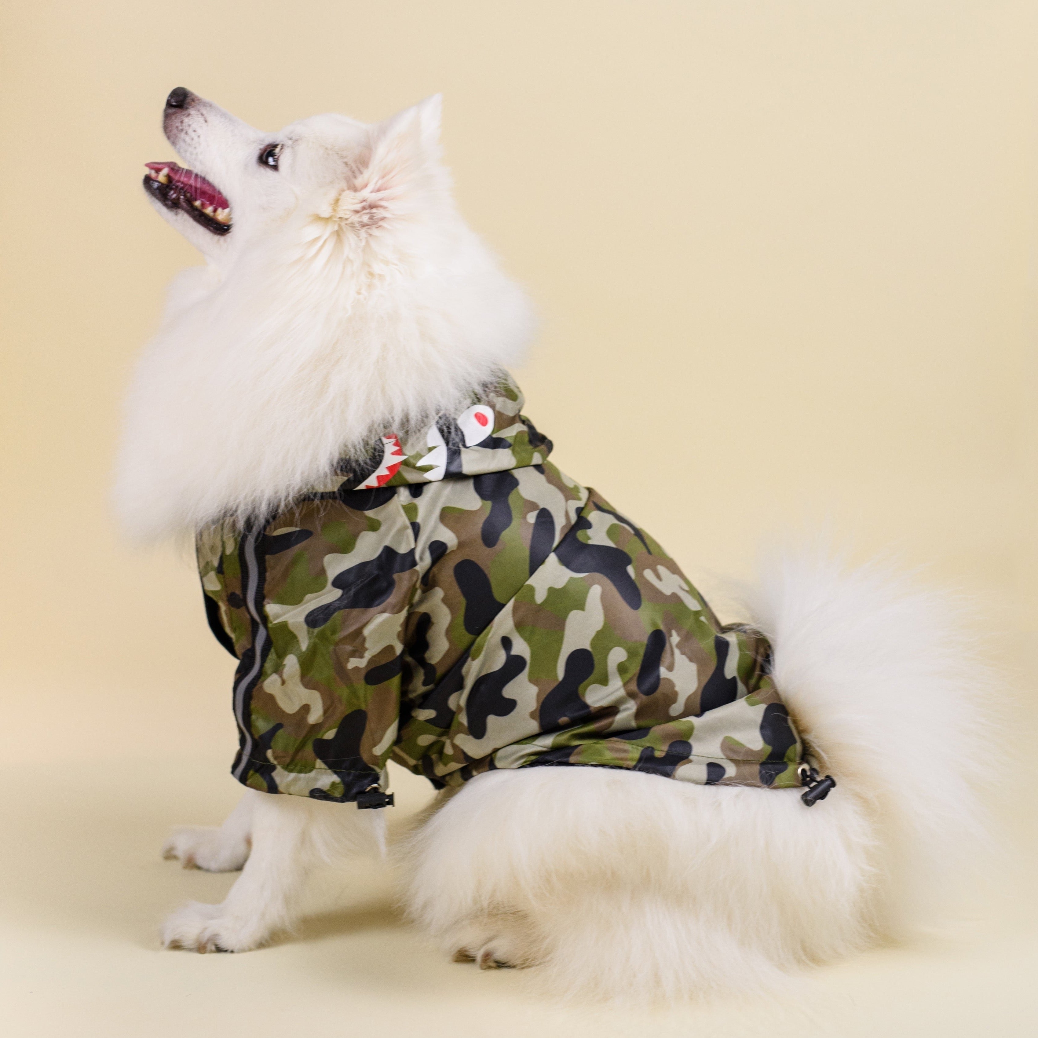 Camo Windbreaker
