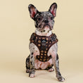 Load image into Gallery viewer, Furbaby Harness