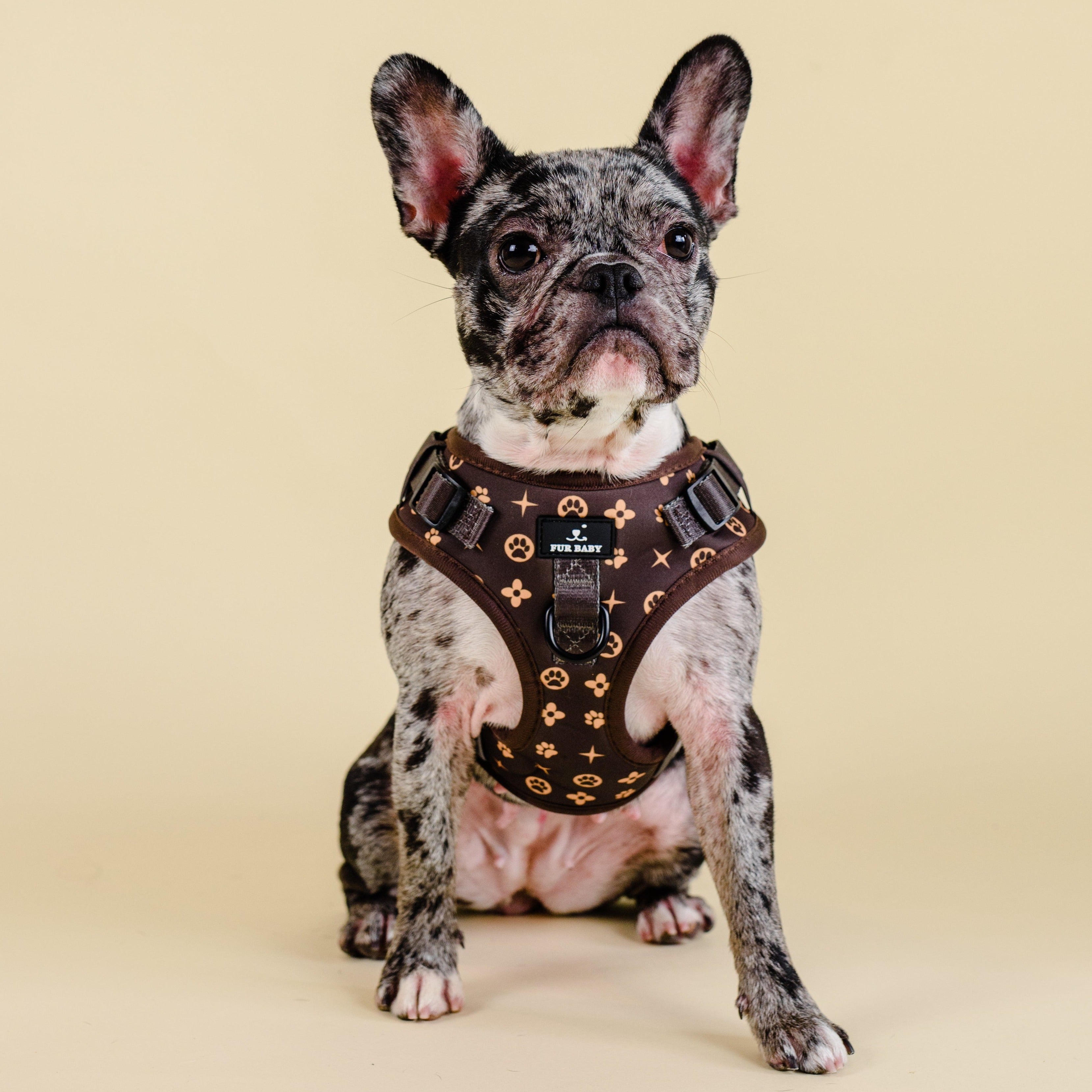Furbaby Harness