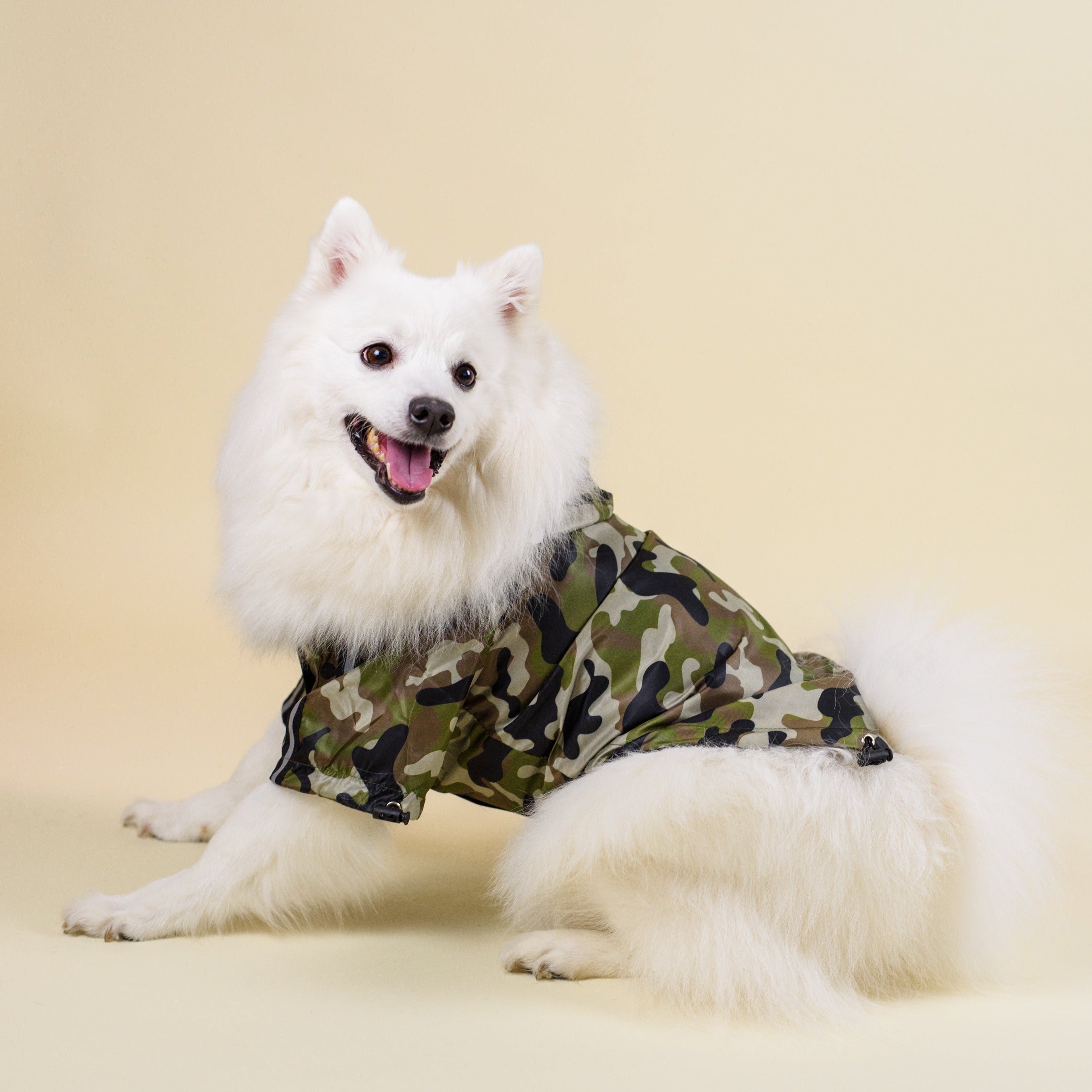 Camo Windbreaker