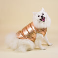 Load image into Gallery viewer, Aspen Vest