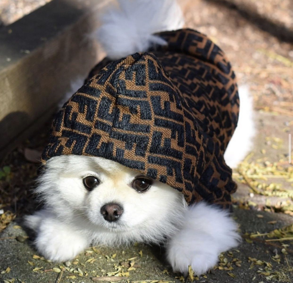 Furendi Jacket