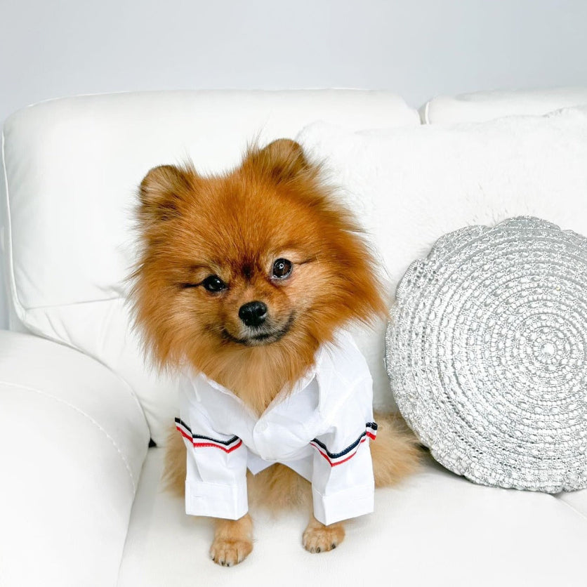 Winston Button Up