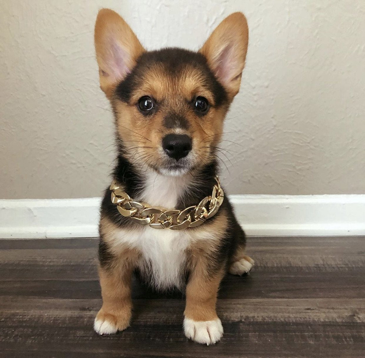 Otis Chain