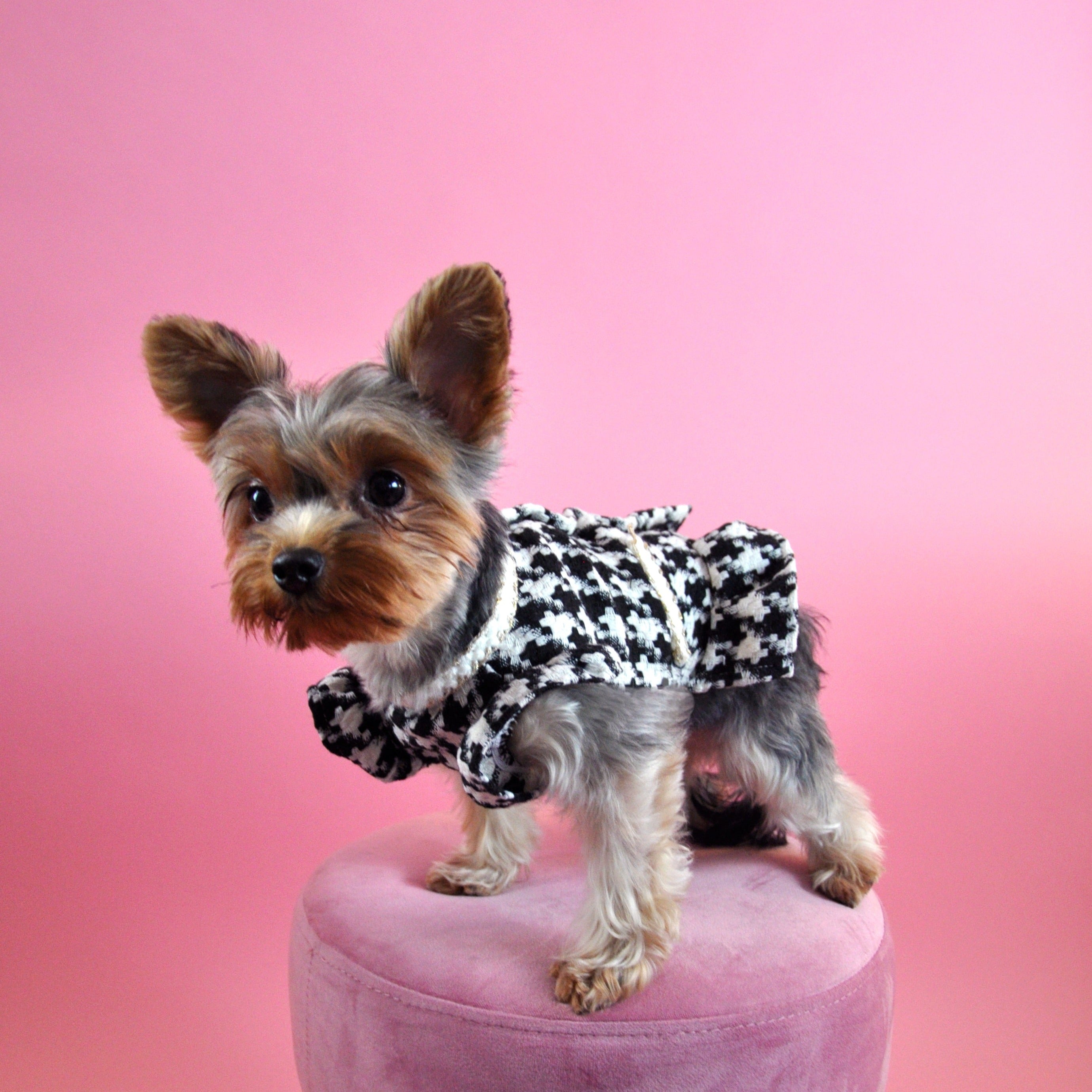 Houndstooth Dress