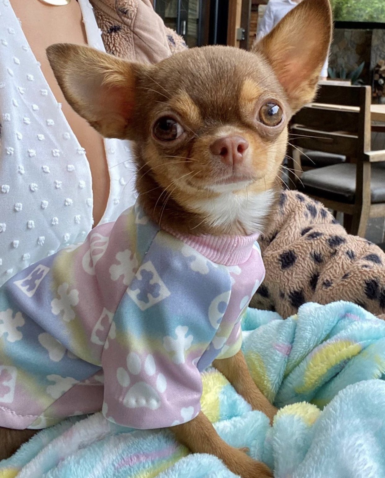 Paw-Dye Tee