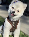 Load image into Gallery viewer, Love Me Harness