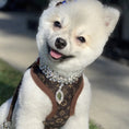 Load image into Gallery viewer, Love Me Harness