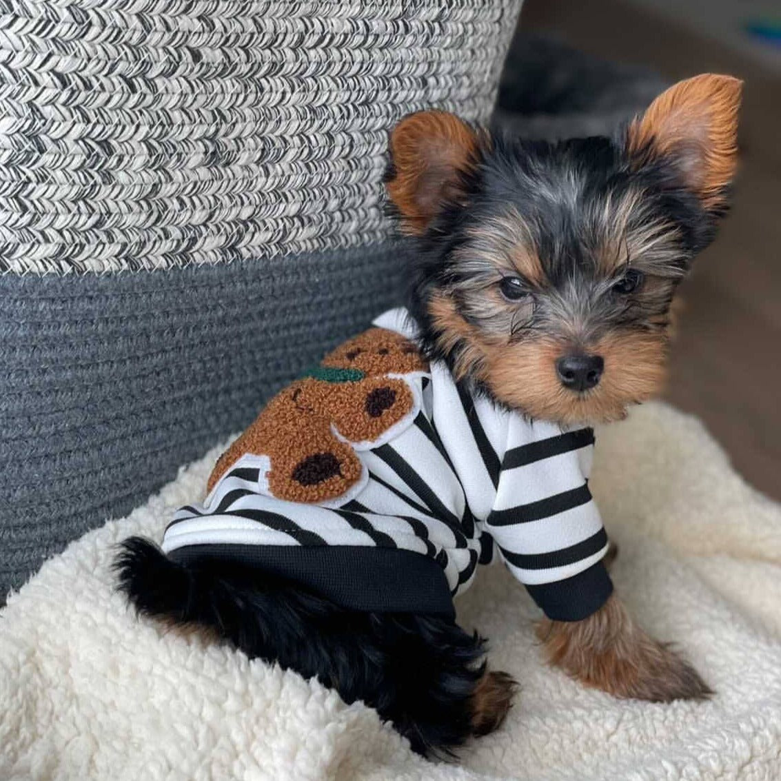 Teddy Pullover