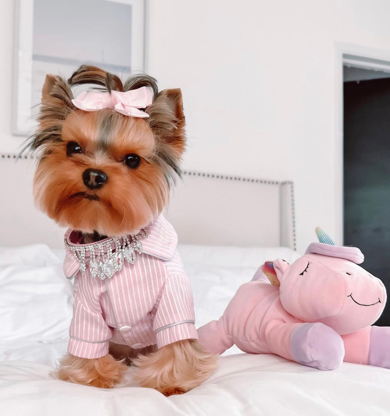 Pajama Pawty