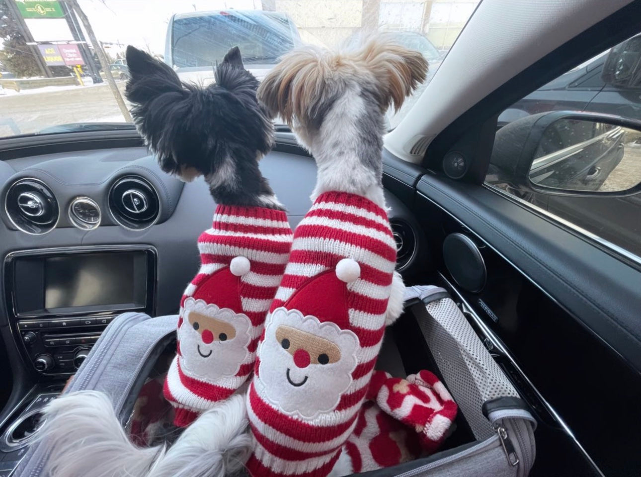 Santa Knit