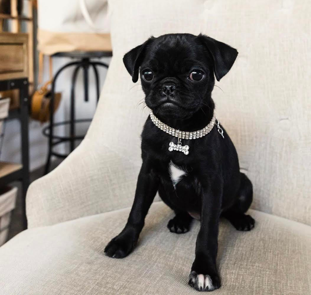 CHLOE