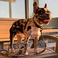Load image into Gallery viewer, Furbaby Collar & Leash