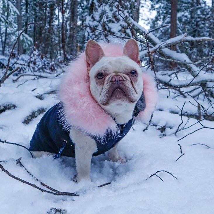 lux parka pink model