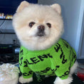Load image into Gallery viewer, pawlenciaga knit model