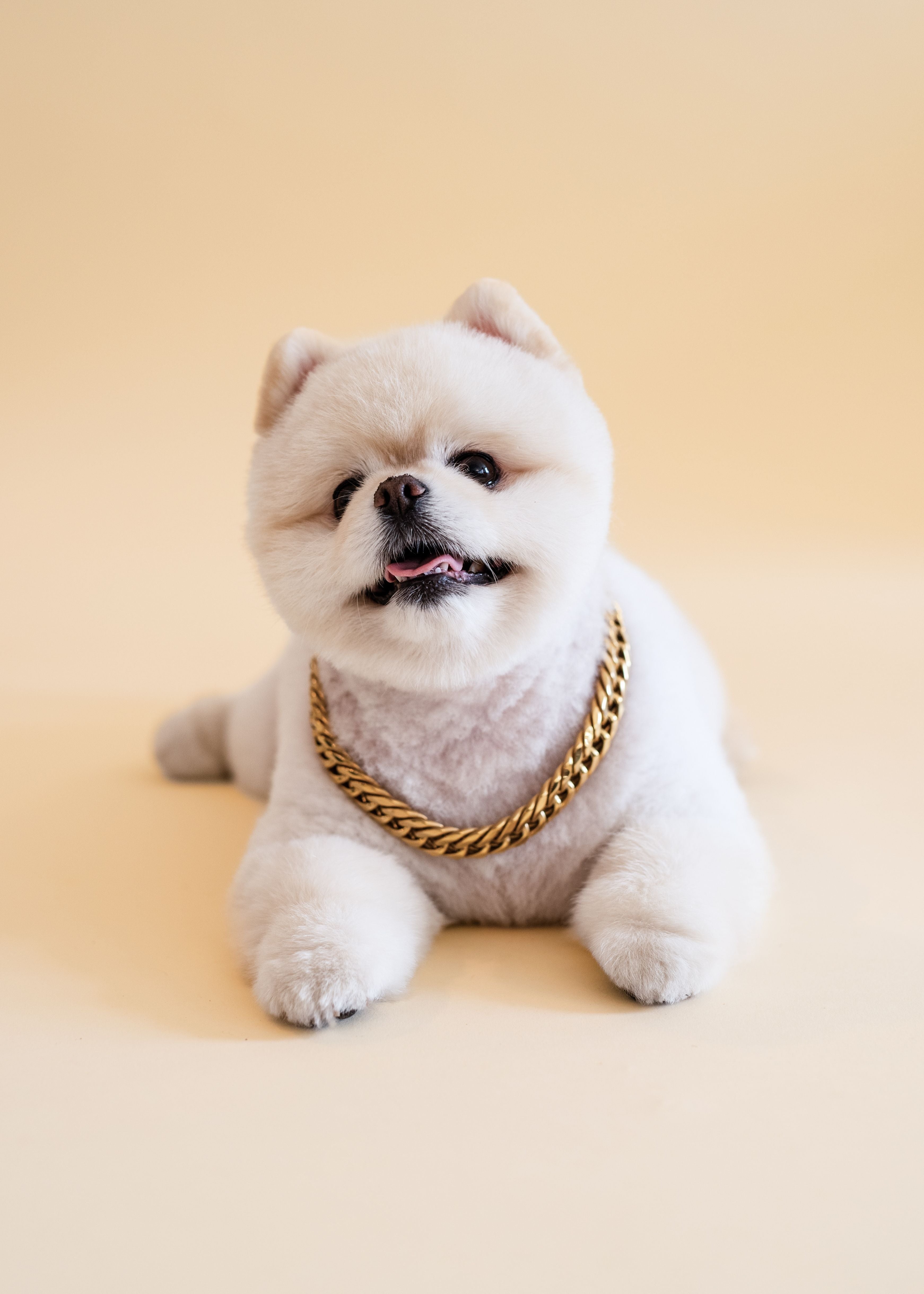 Rico Chain