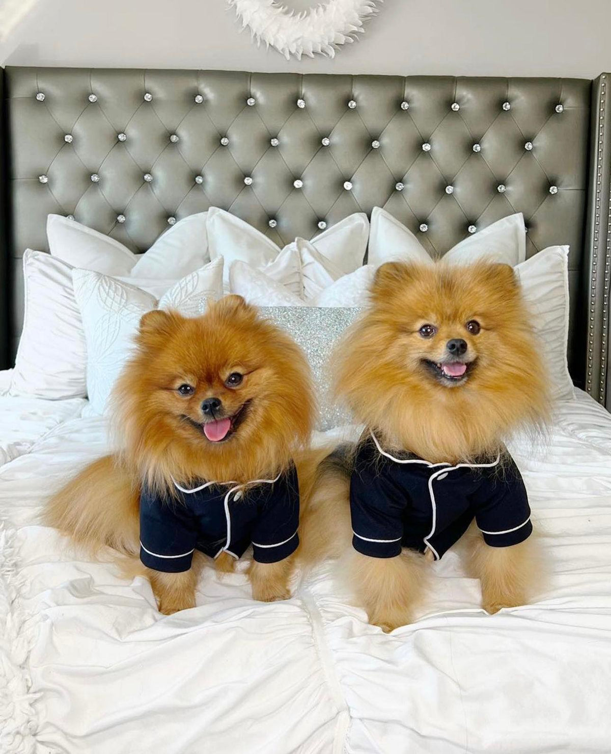 Because Every Well-Dressed Pup Deserves Beautiful Pajamas