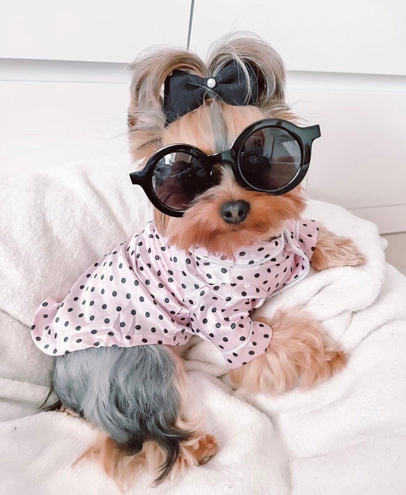 💕 Valentine's Sale 💕