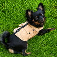 Load image into Gallery viewer, Cargo Harness Vest

