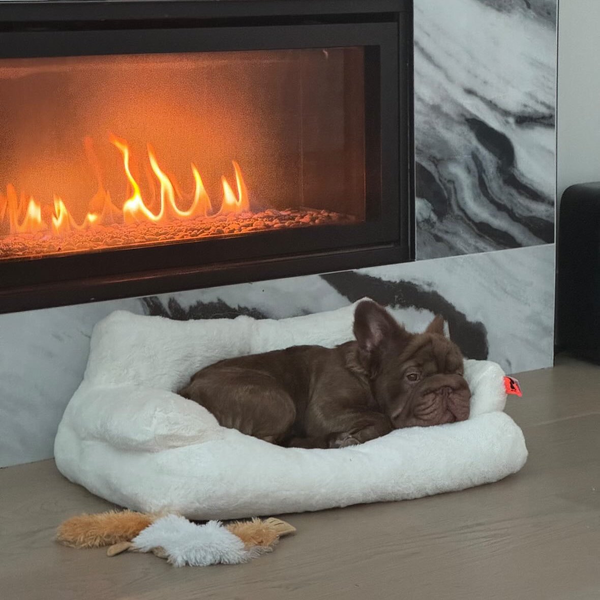 Cloud Couch