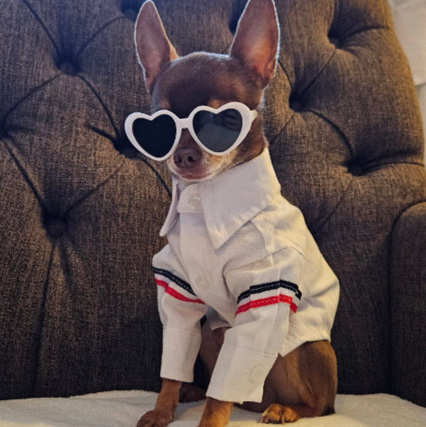 Winston Button Up