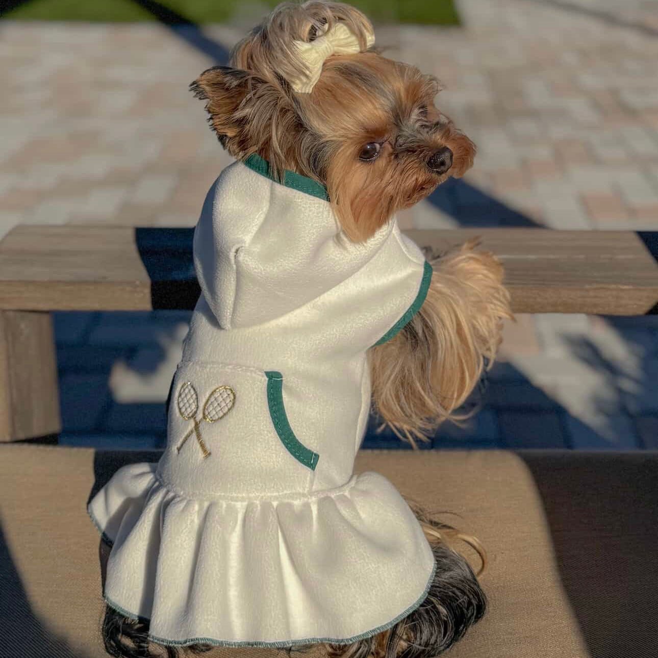 Sporty Pooch Dress