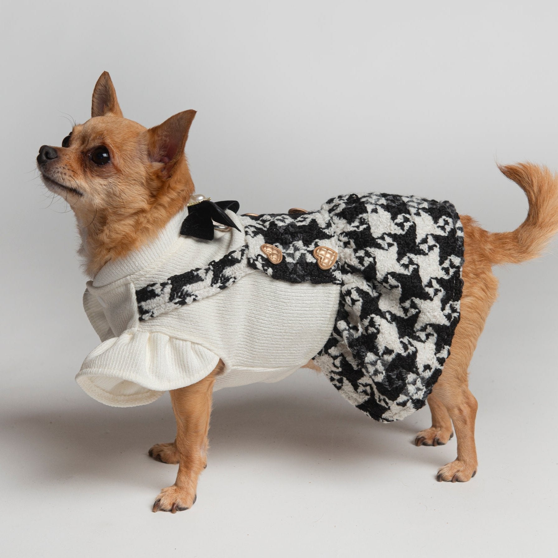 Posh Puppy Dress