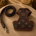Load image into Gallery viewer, Pawtton Harness & Leash
