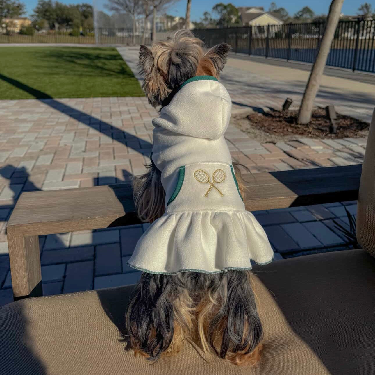 Sporty Pooch Dress