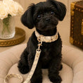 Load image into Gallery viewer, Signature Collar & Leash
