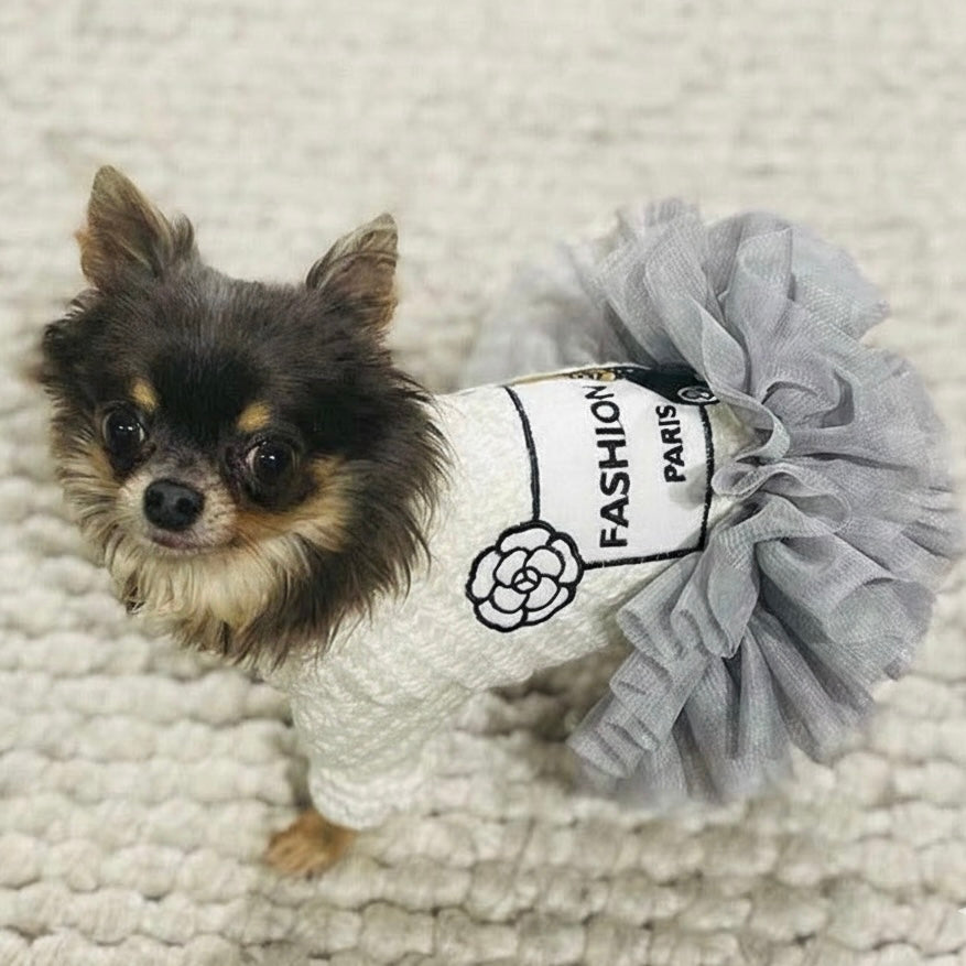 Fashion Dress
