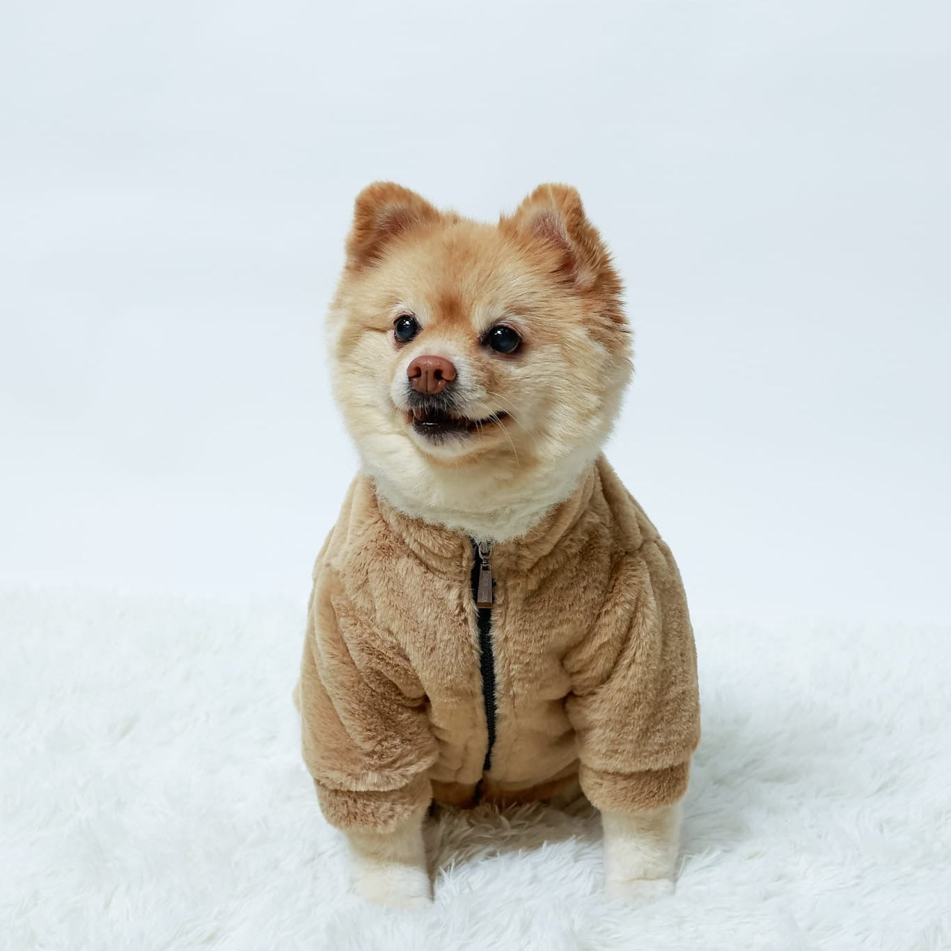 Fuzzy Coat Brown