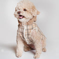 Load image into Gallery viewer, Teddy Plaid Hoodie

