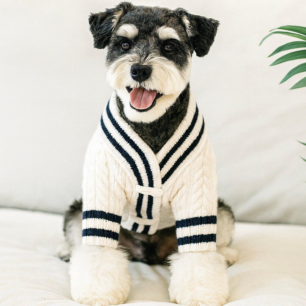 Sporty Pooch Knit