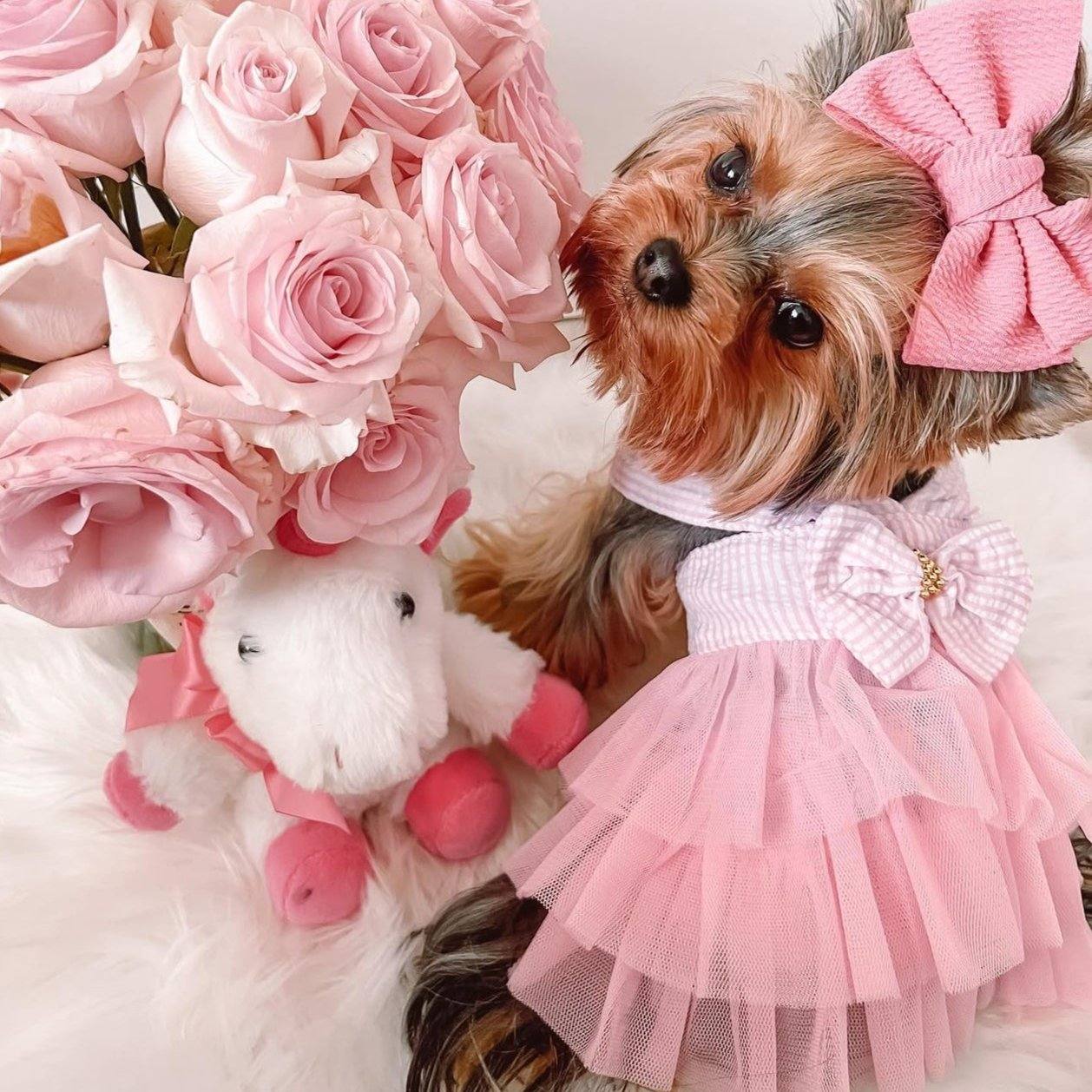 Small dog wearing pink fairytale dress with ruffle tulle skirt and bow, sitting next to pink roses and stuffed toy