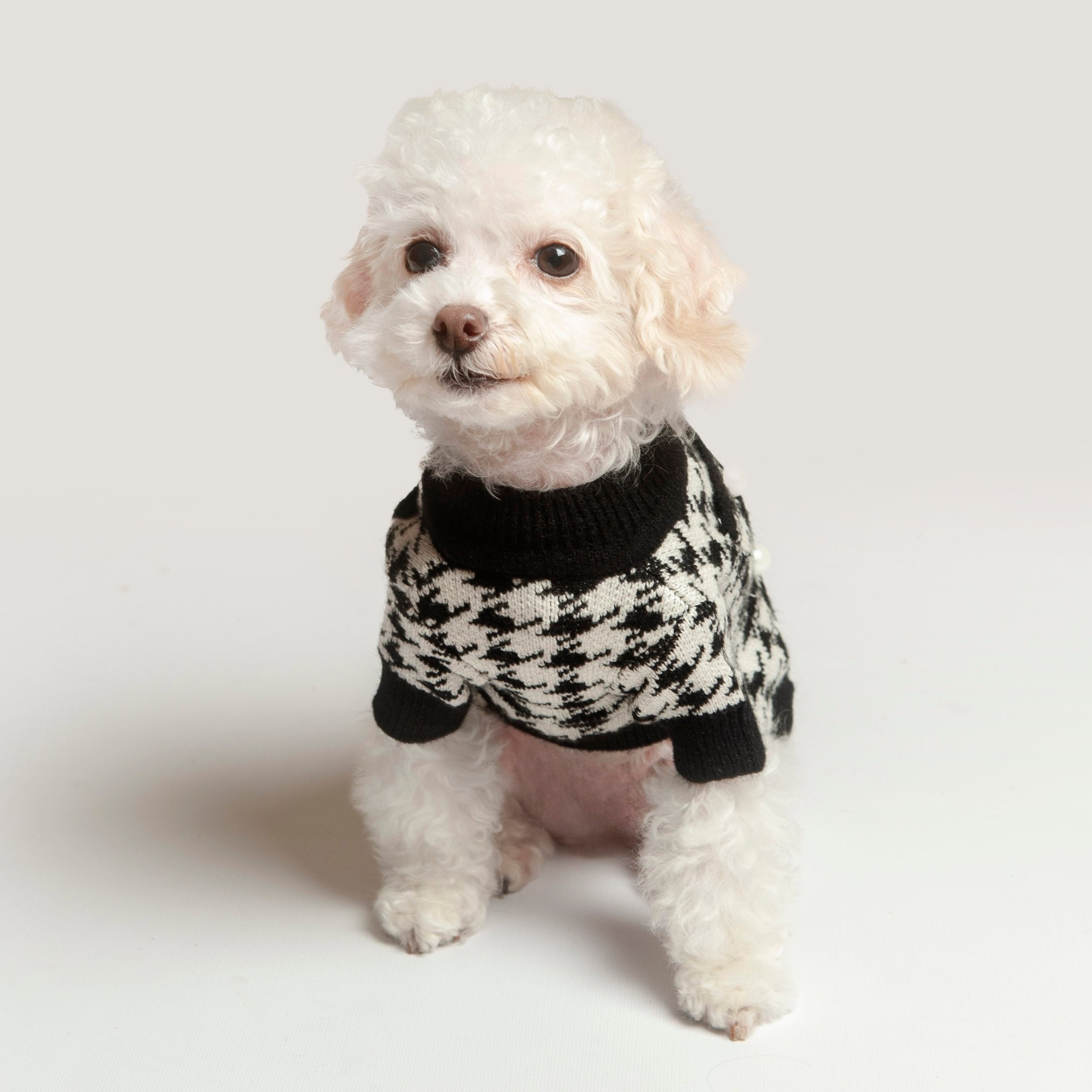 Posh Puppy Knit