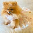 Load image into Gallery viewer, Enchanted Dress Pink
