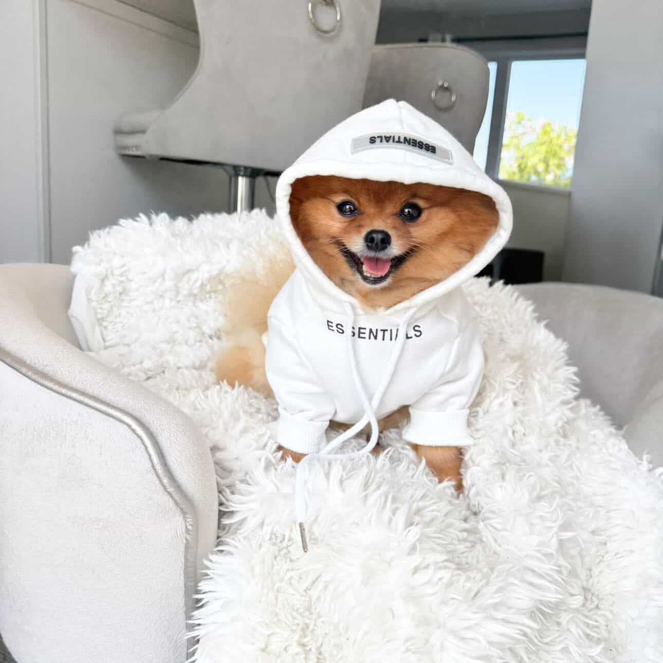 Essentials Hoodie