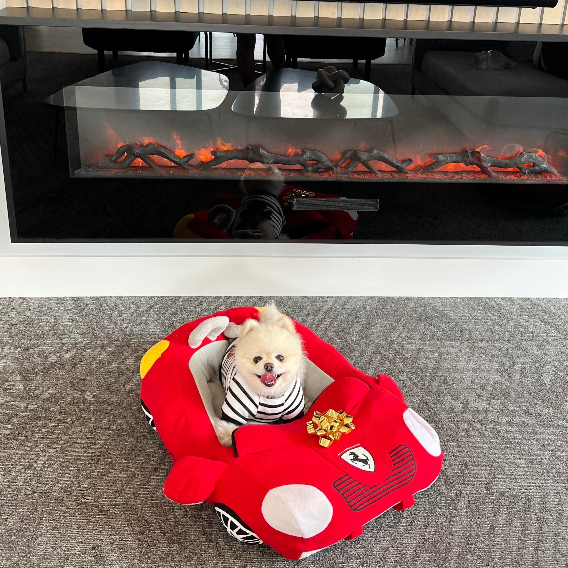 Furrari Bed