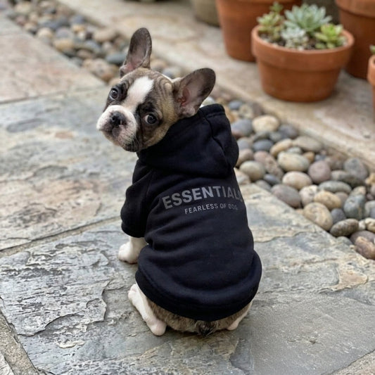 Essentials Hoodie Black