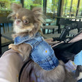 Load image into Gallery viewer, Daisy Jacket
