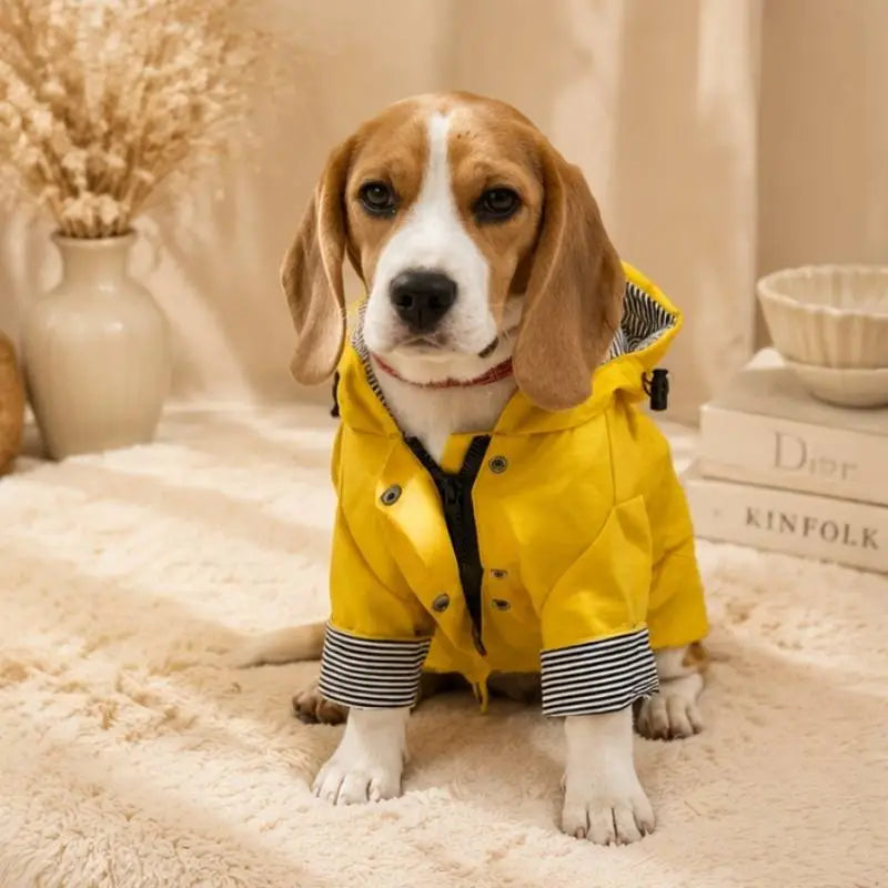 Hunter Raincoat