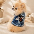 Load image into Gallery viewer, Nala Jacket
